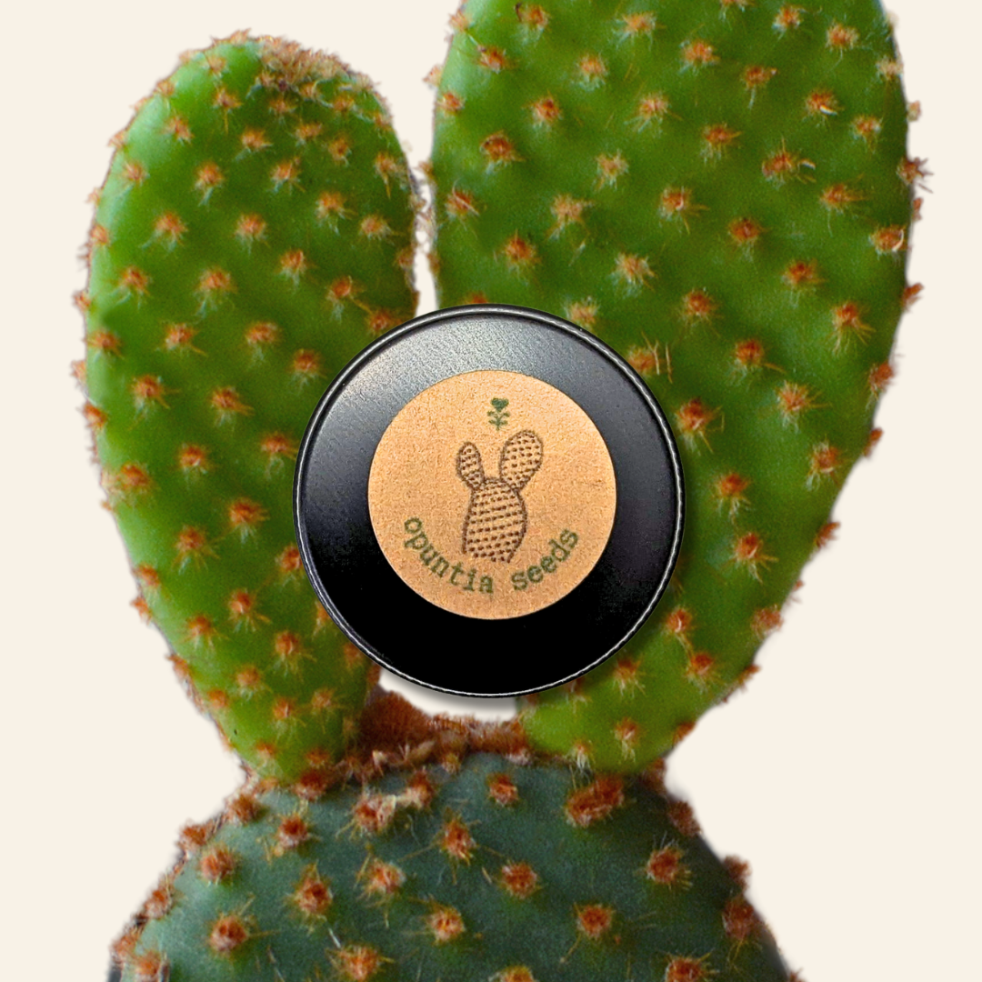 Opuntia Prickly Pear Cactus Seeds