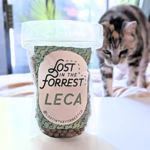 Leca - Lost in the Forest