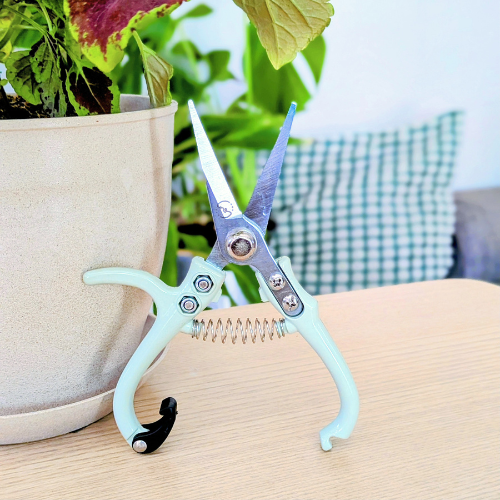 Foliage Shears - Lost in the Forest
