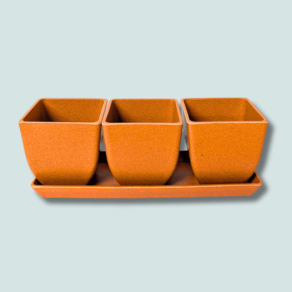 3" Rice Hull Planter Trio - Long Lasting Biodegradable Planters - Plantflix
