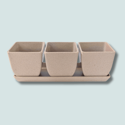 3" Rice Hull Planter Trio - Long Lasting Biodegradable Planters - Plantflix