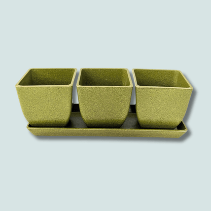 3" Rice Hull Planter Trio - Long Lasting Biodegradable Planters - Plantflix