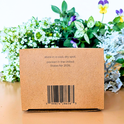 Grow a Fairy Garden Seed Kit