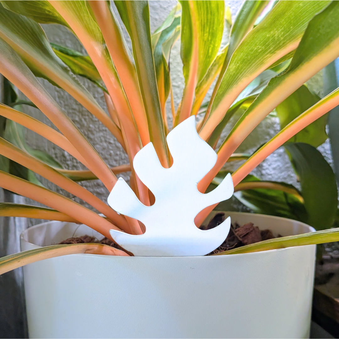 Moisture Meter - PlantDoc Color-Change Moisture Meter