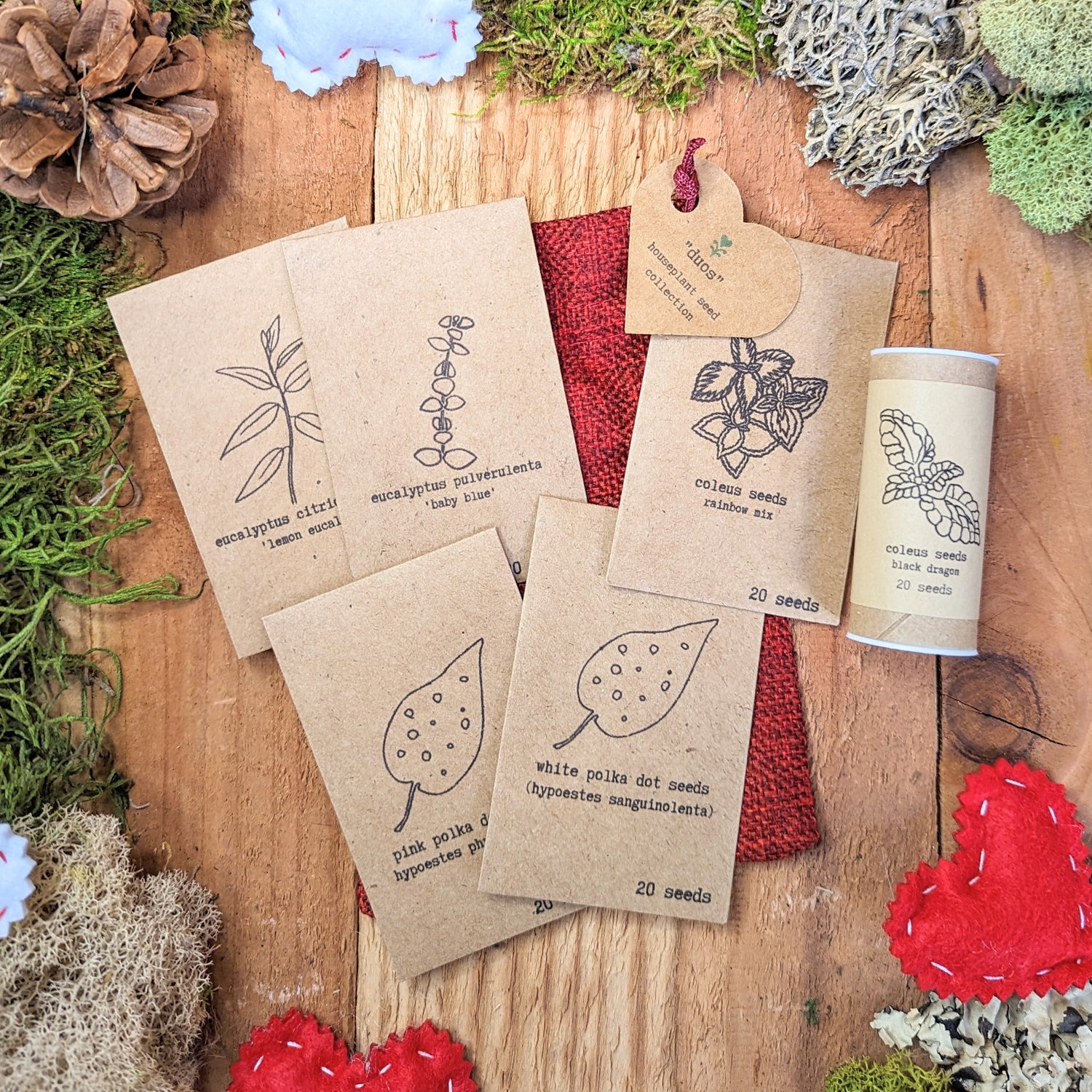 "Duos" Houseplant Seed Collection