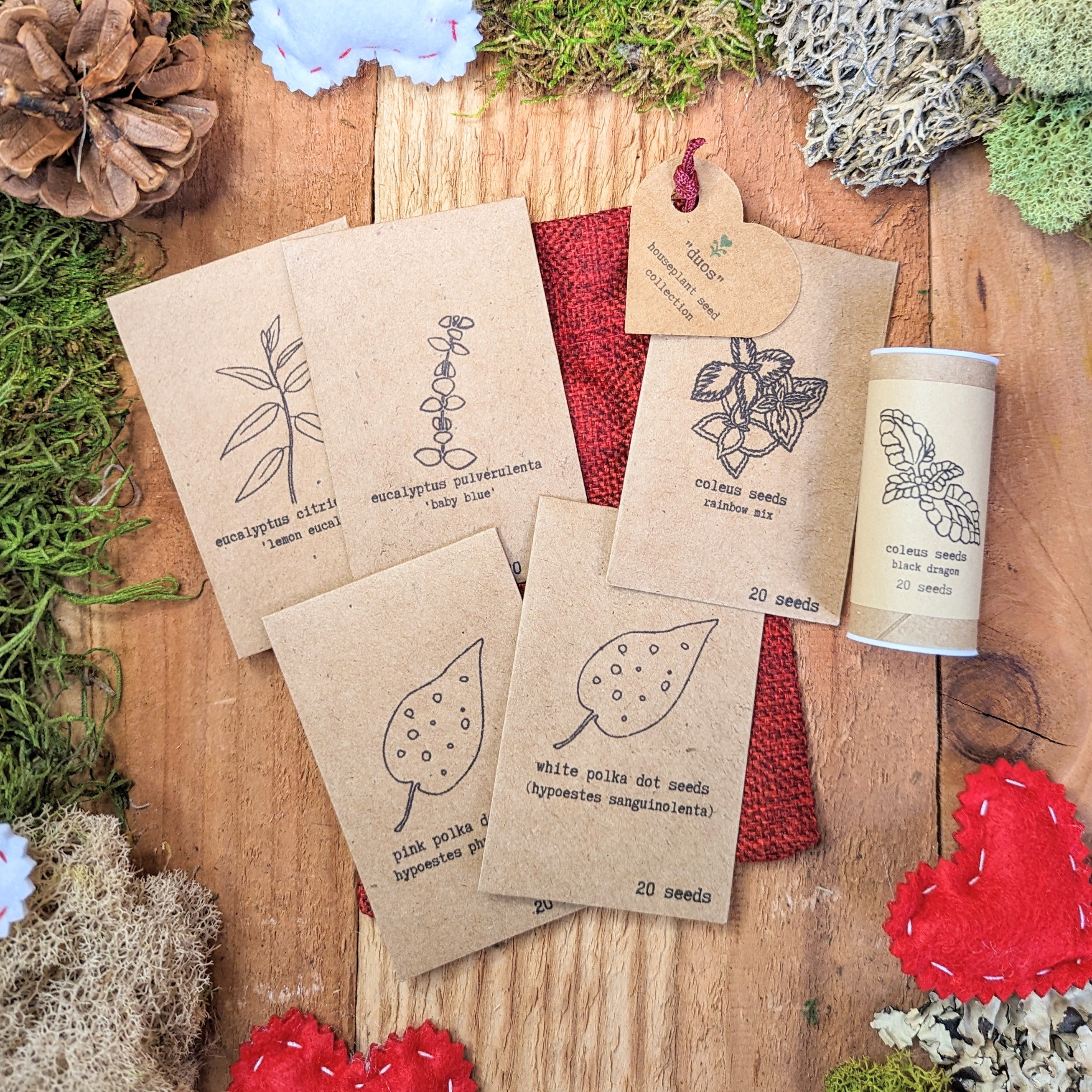 "Duos" Houseplant Seed Collection