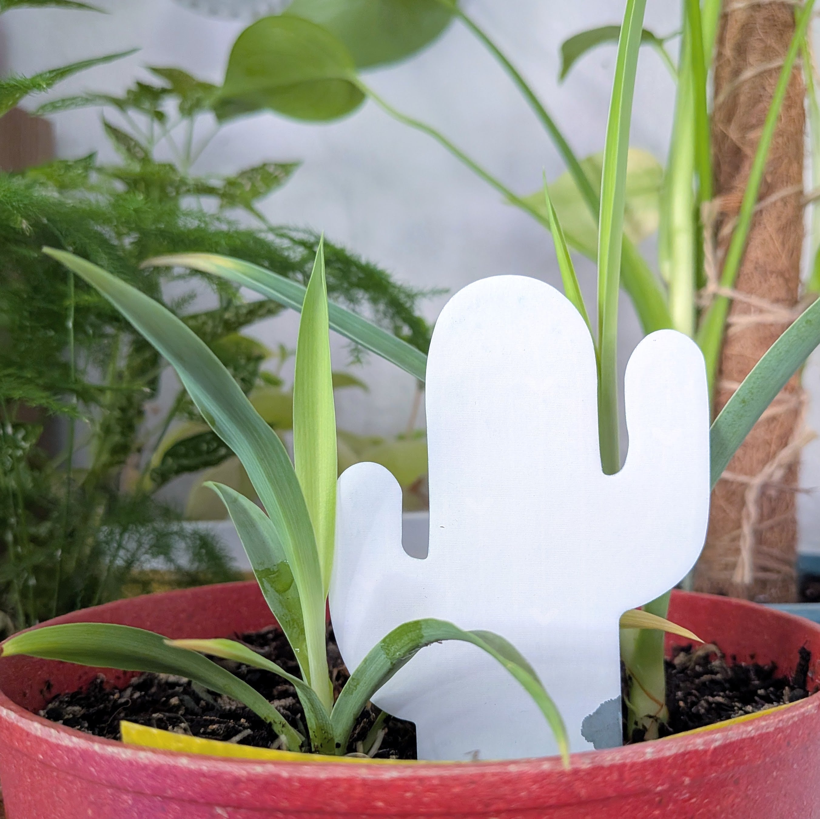 PlantDoc: Color-Change Plant Moisture Meter - Plantflix