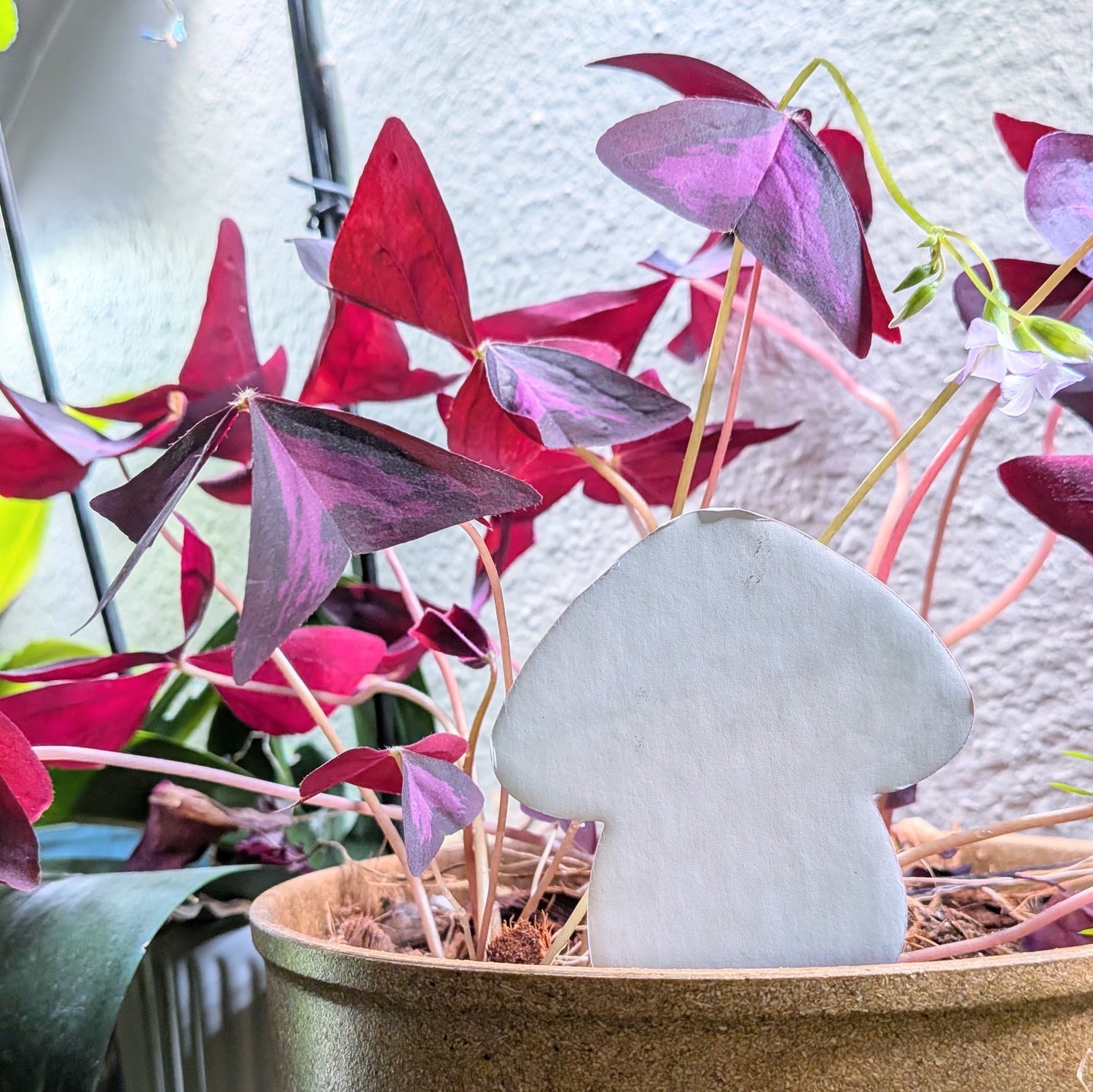 Moisture Meter - PlantDoc Color-Change Moisture Meter