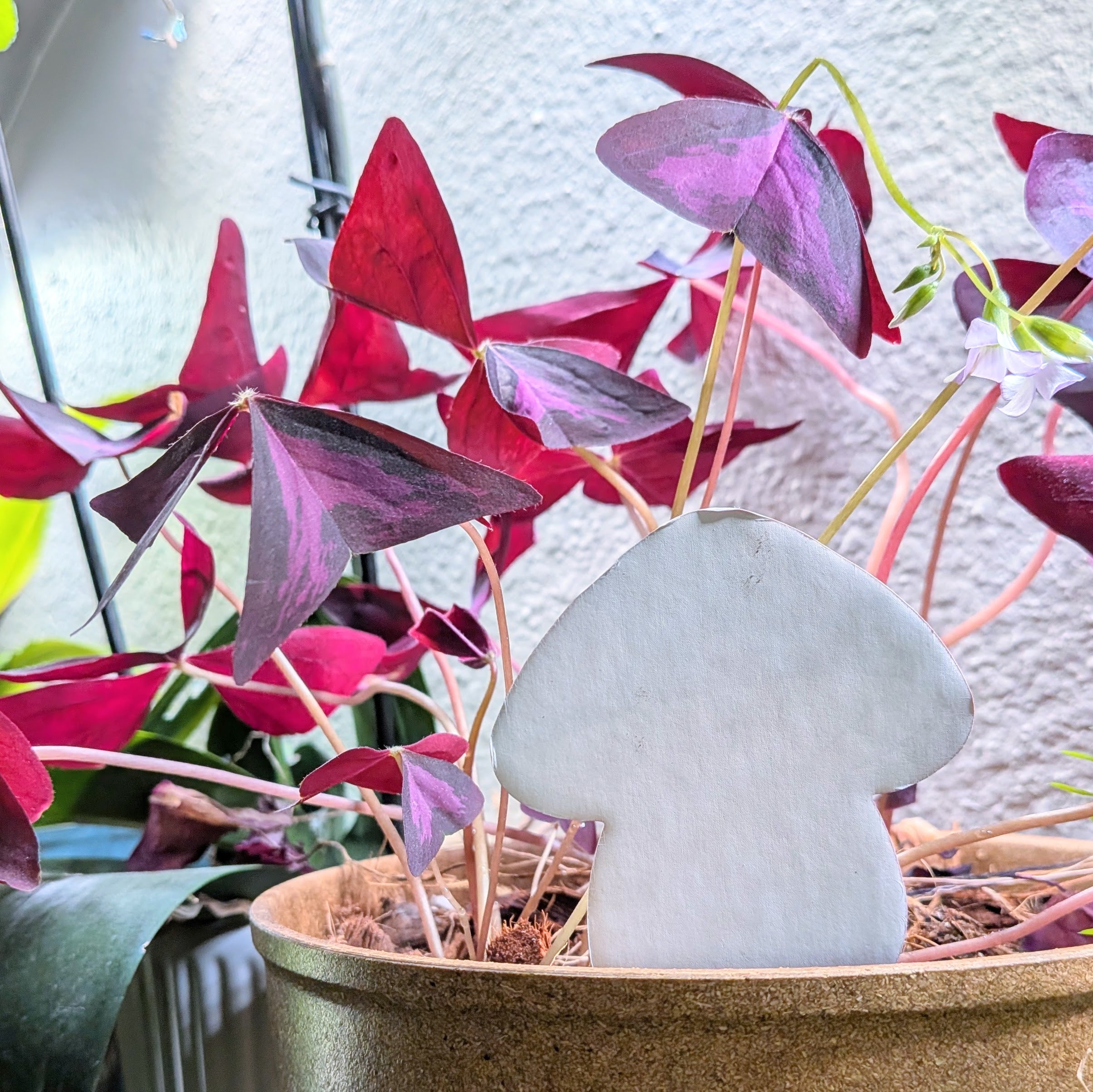 Moisture Meter - PlantDoc Color-Change Moisture Meter