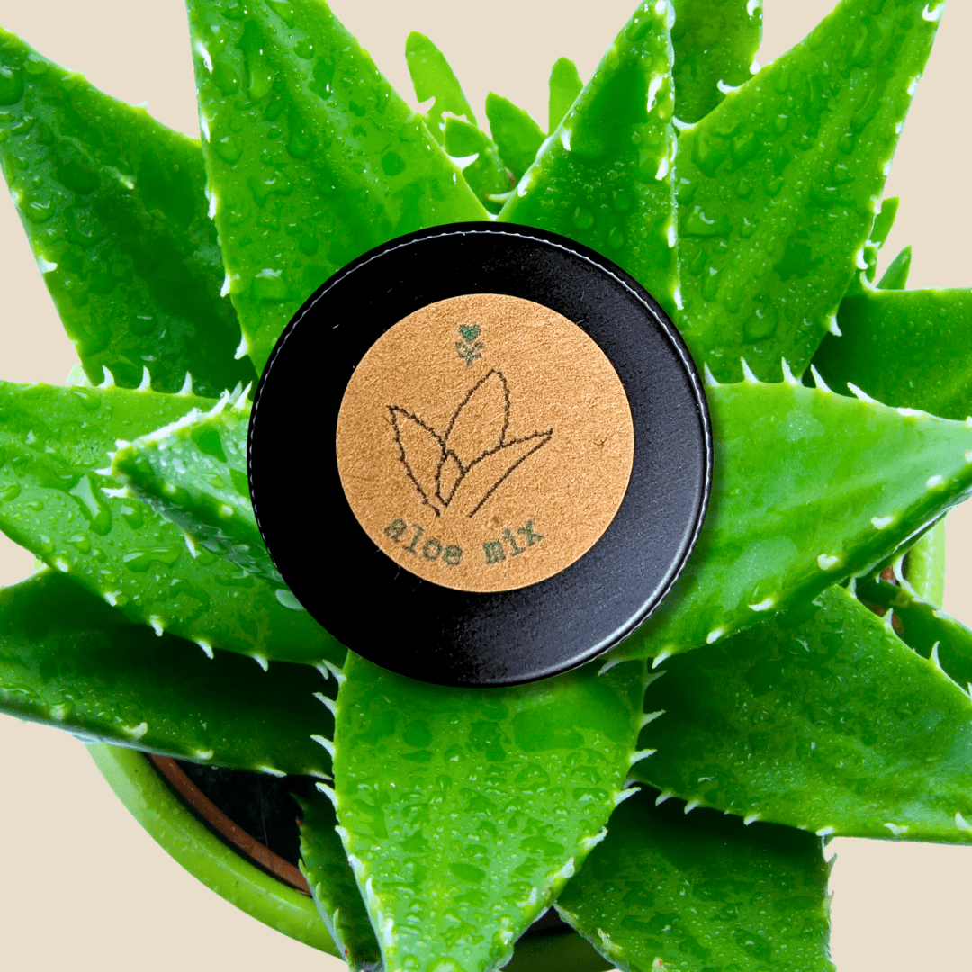 Aloe Mix Seeds - Plantflix