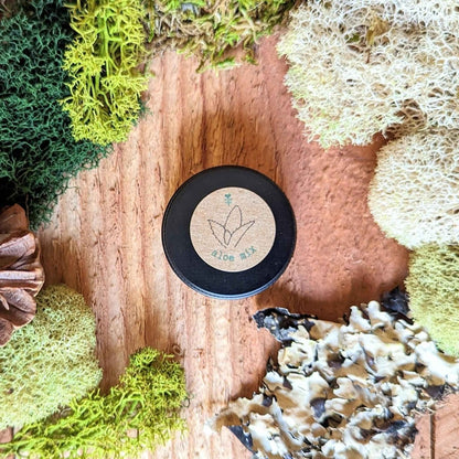 Aloe Mix Seeds - Plantflix