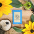Black-Eyed Susan Seeds - Plantflix