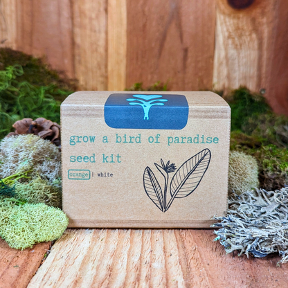 Grow a Bird of Paradise Plant Seed Kit