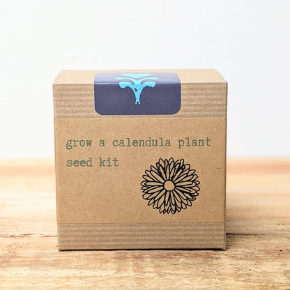 Calendula Beginner Grow Kit - Plantflix
