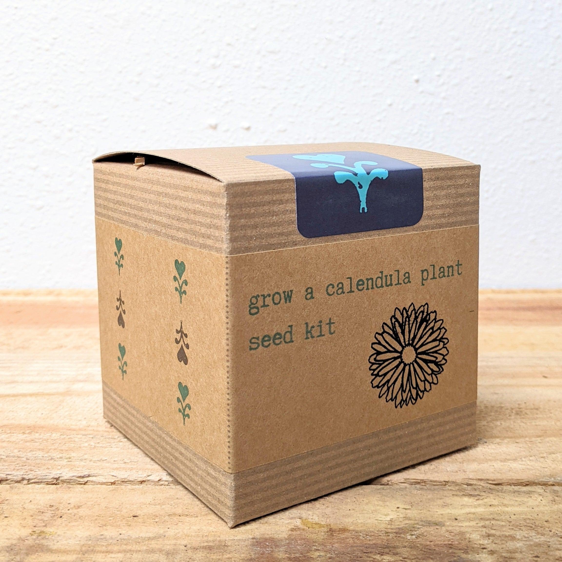 Calendula Beginner Grow Kit - Plantflix