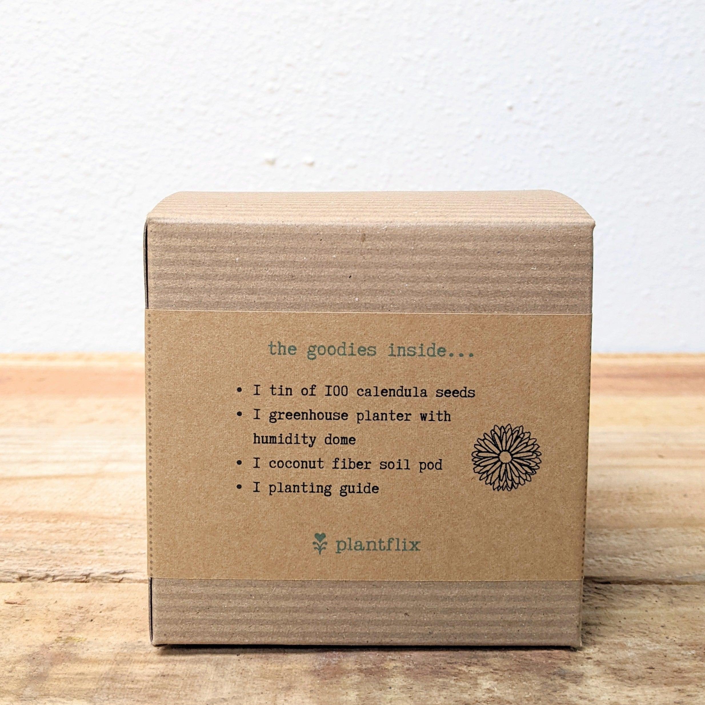 Calendula Beginner Grow Kit - Plantflix