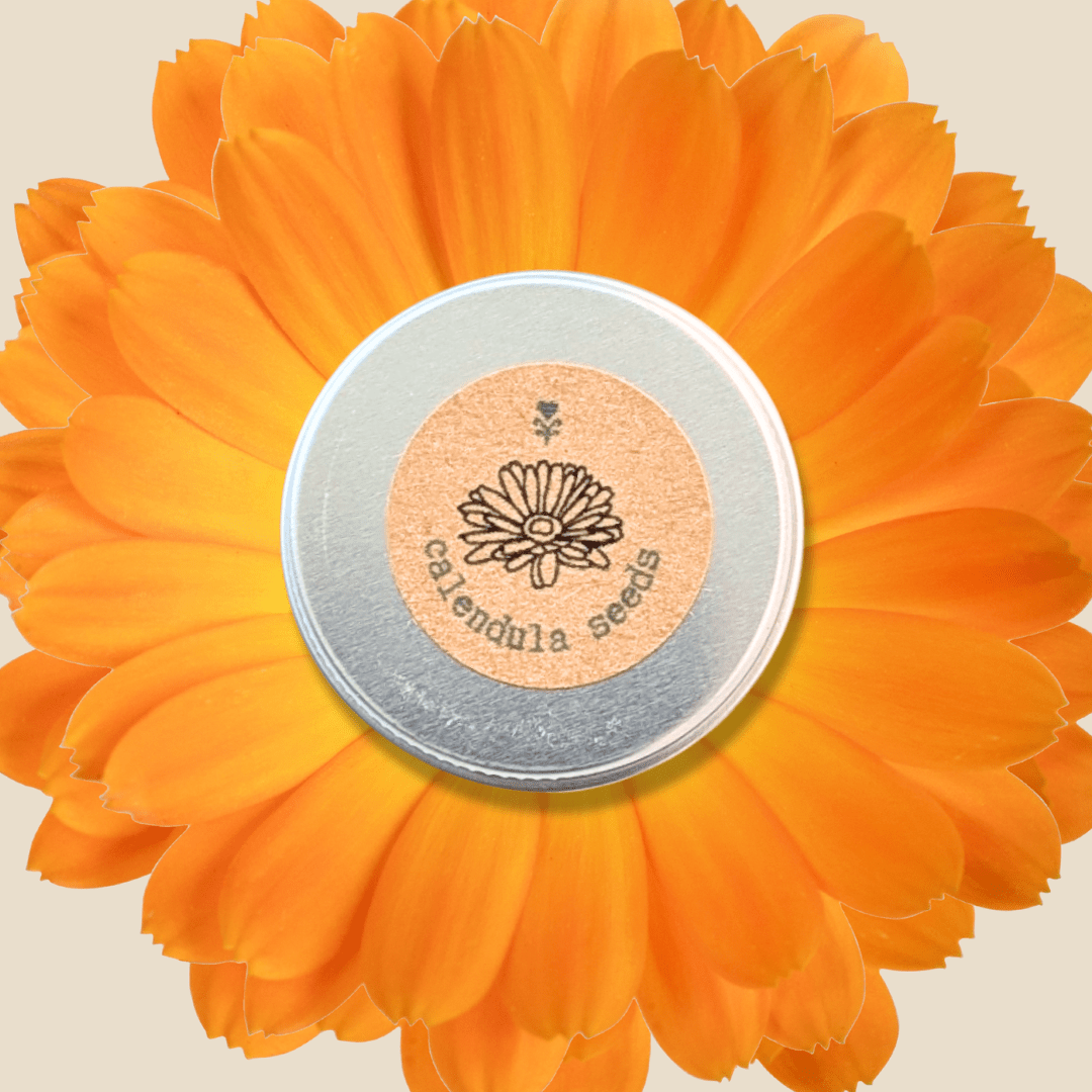 Calendula Seeds - Plantflix