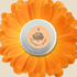 Calendula Seeds - Plantflix