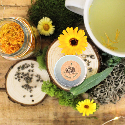 Calendula Seeds - Plantflix