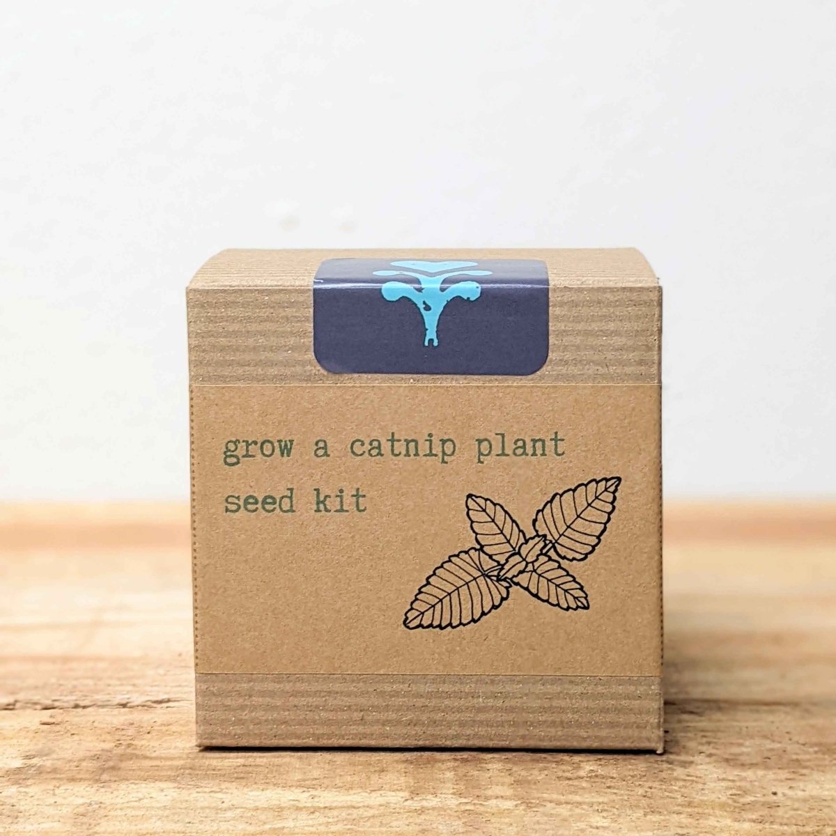 Catnip Beginner Grow Kit - Plantflix