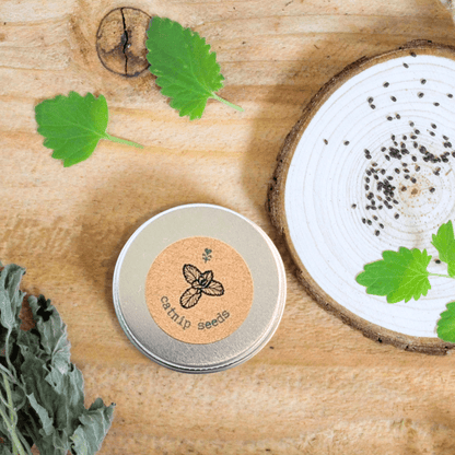 Catnip Seeds - Plantflix