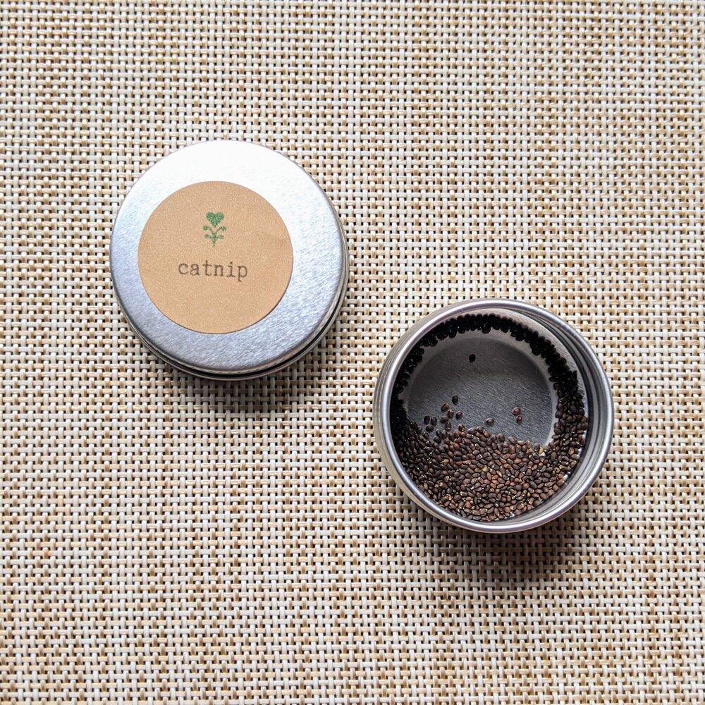 Catnip Seeds – Plantflix