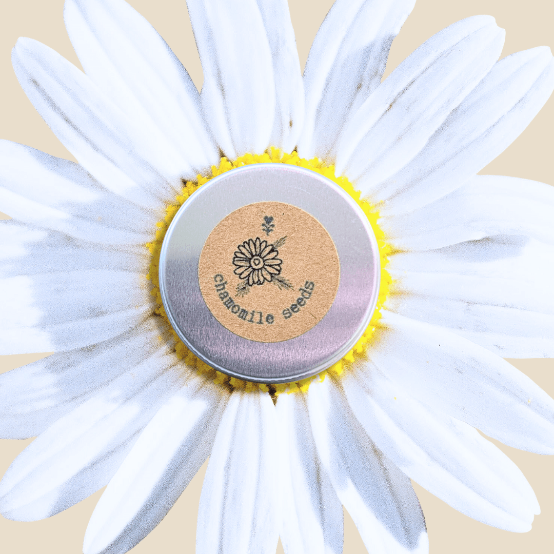 Chamomile Seeds - Plantflix