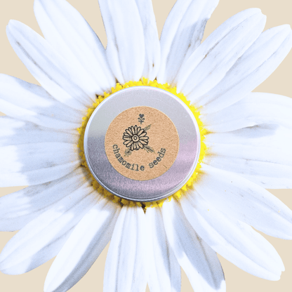 Chamomile Seeds - Plantflix