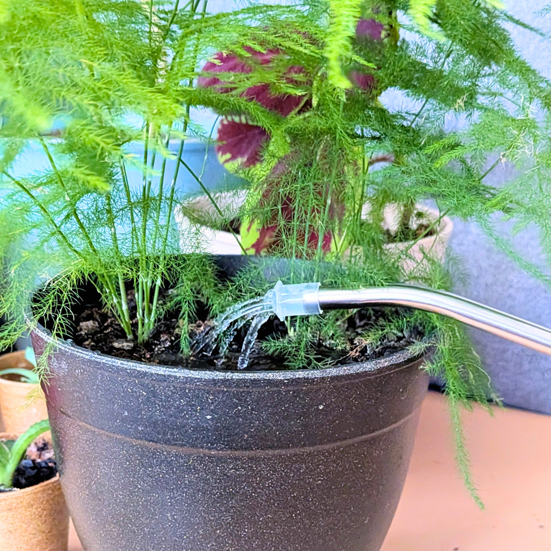 Clear Indoor Watering Can - 1L - Plantflix