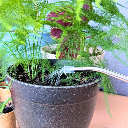 Clear Indoor Watering Can - 1L - Plantflix