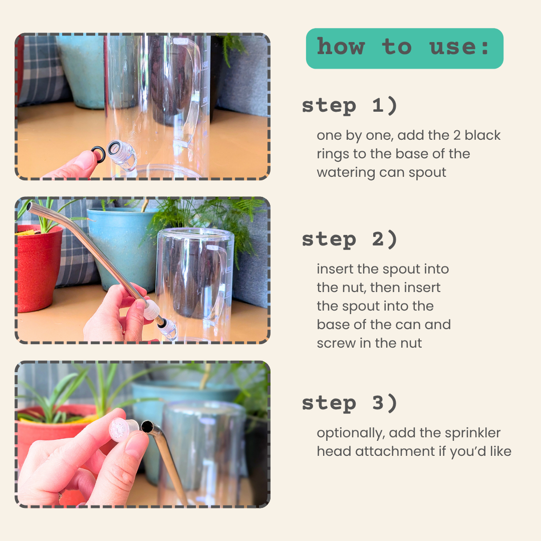 Clear Indoor Watering Can - 1L - Plantflix