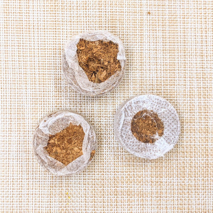 Coconut Fiber Soil Pellets - Plantflix