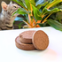 Coconut Fiber Soil Pod Pack - Plantflix