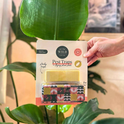 Compostable Gnat Traps - We the Wild - Plantflix