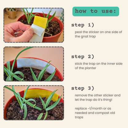 Compostable Gnat Traps - We the Wild - Plantflix