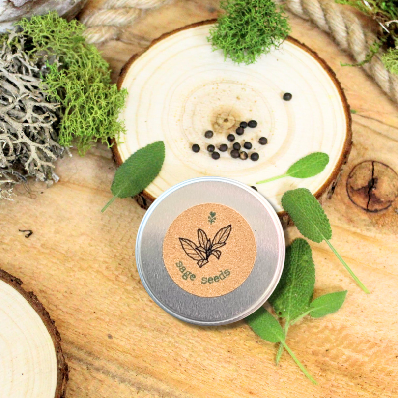 "Cooking Herbs" Seed Collection - Plantflix