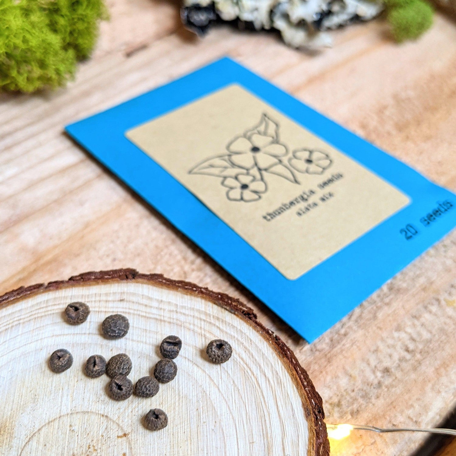 Creeps, Trails &amp; Vines Seed Collection - Plantflix