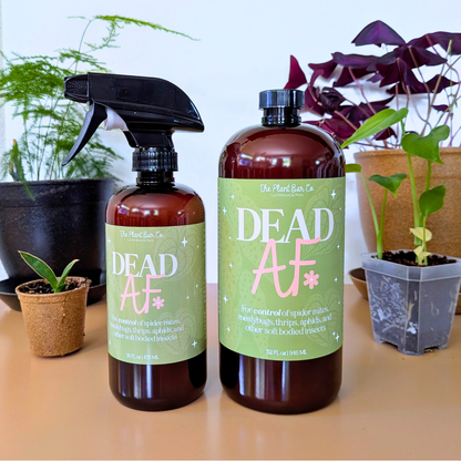 Dead AF Pest Control Spray - The Plant Bar - Plantflix
