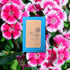 Dianthus Seeds - Plantflix