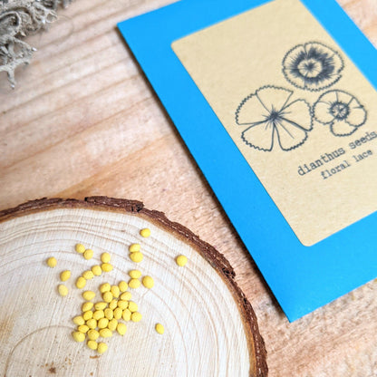 Dianthus Seeds - Plantflix