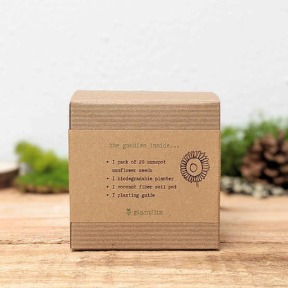 Dwarf Sunflower Beginner Grow Kit - Plantflix