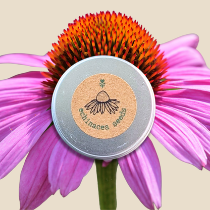 Echinacea Seeds - Plantflix