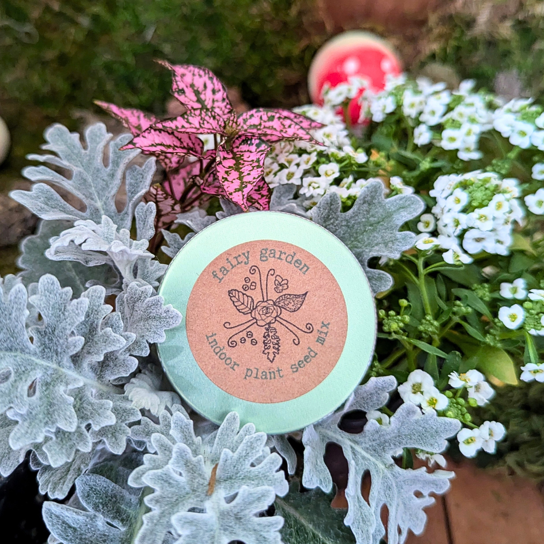"Fairy Garden" Seed Mix - Plantflix