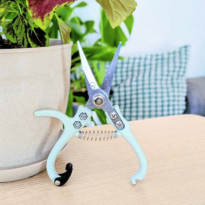 Foliage Shears - Lost in the Forest - Plantflix