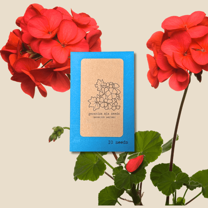 Geranium Seeds - Plantflix