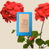 Geranium Seeds - Plantflix