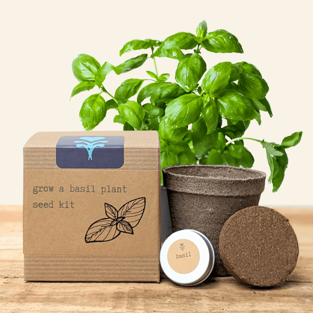 Grow a Basil Plant Seed Kit - Plantflix