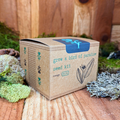 Grow a Bird of Paradise Plant Seed Kit - Plantflix