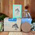 Grow a Bonsai Plant Seed Kit - Plantflix