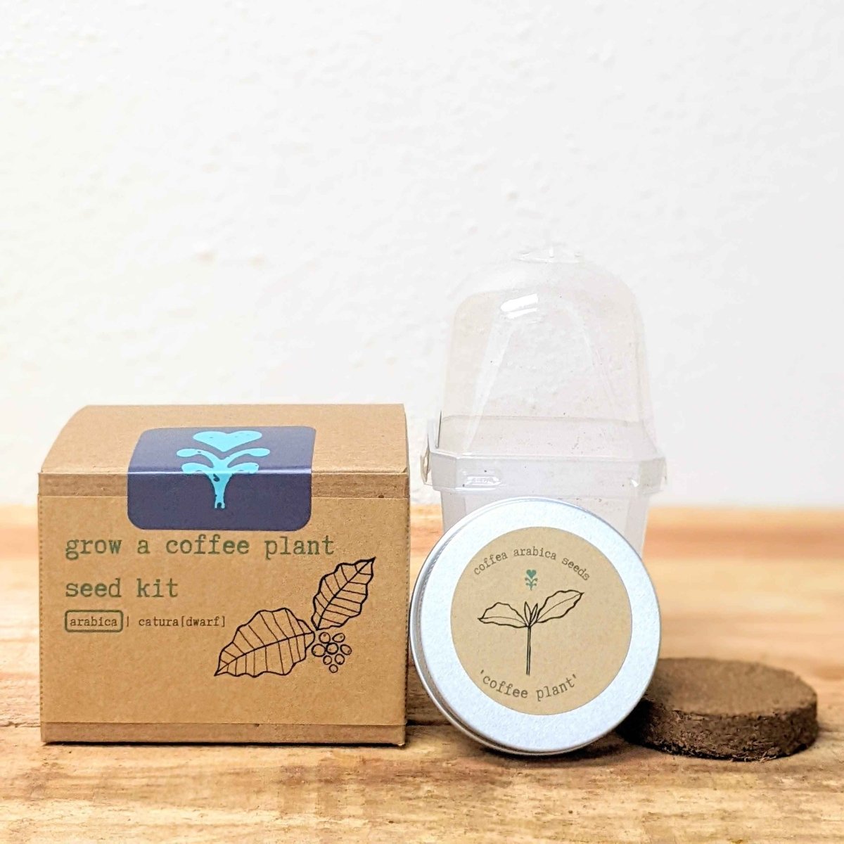 Grow a Coffee Plant Seed Kit - Plantflix